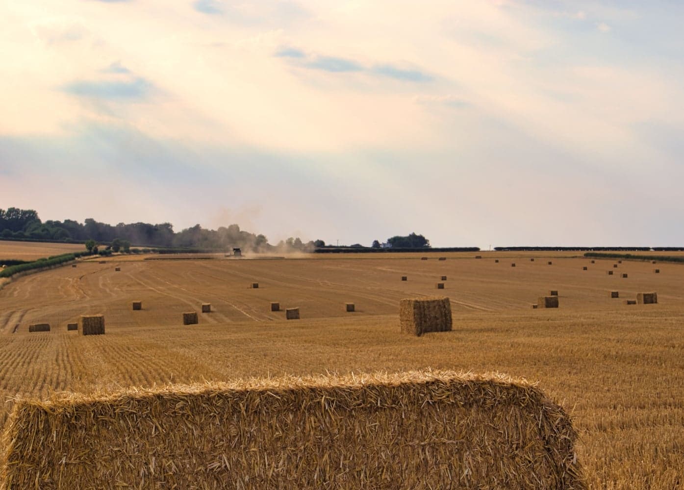 Saxton, North Yorkshire