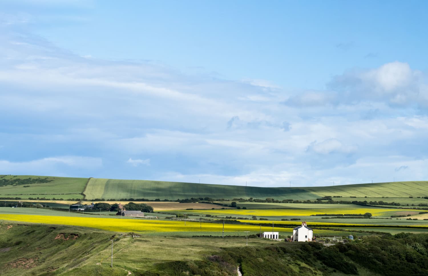 Skelton-in-Cleveland