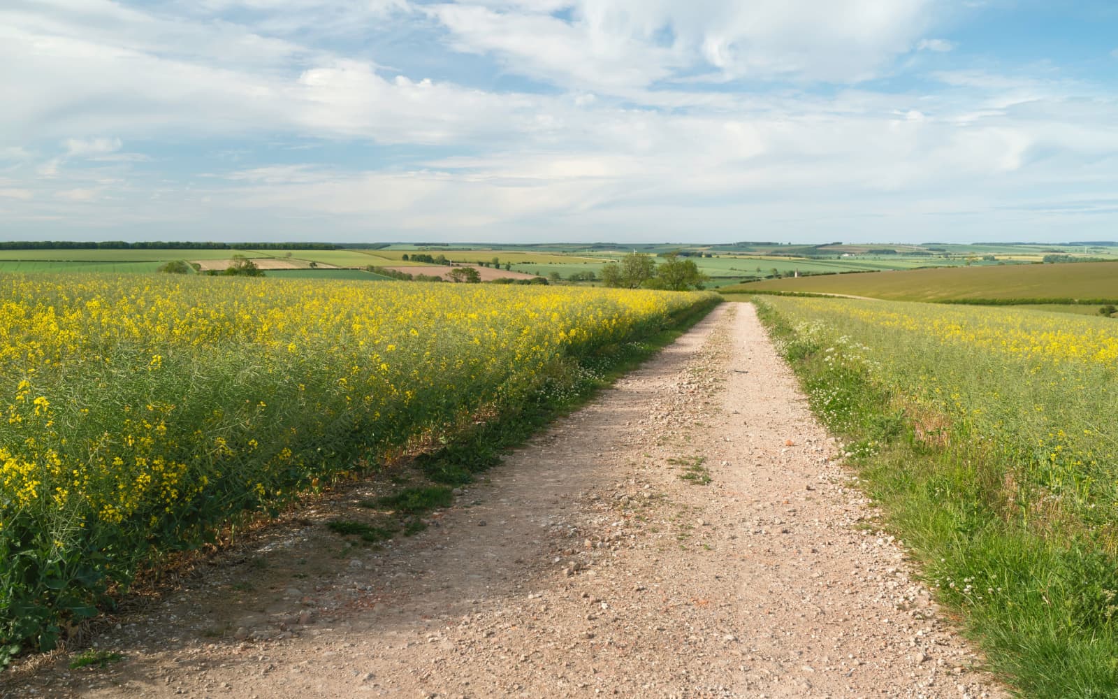 Wintringham, North Yorkshire