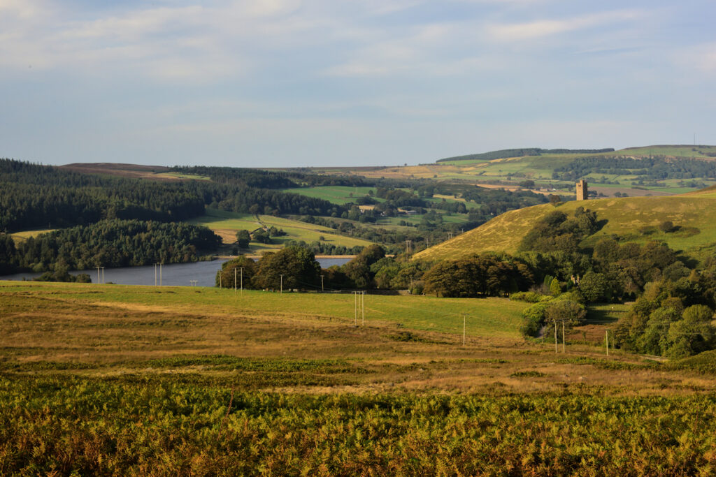 Strines Reservoir at the Head of Bradfield Dale with Boot's Folly on the Right