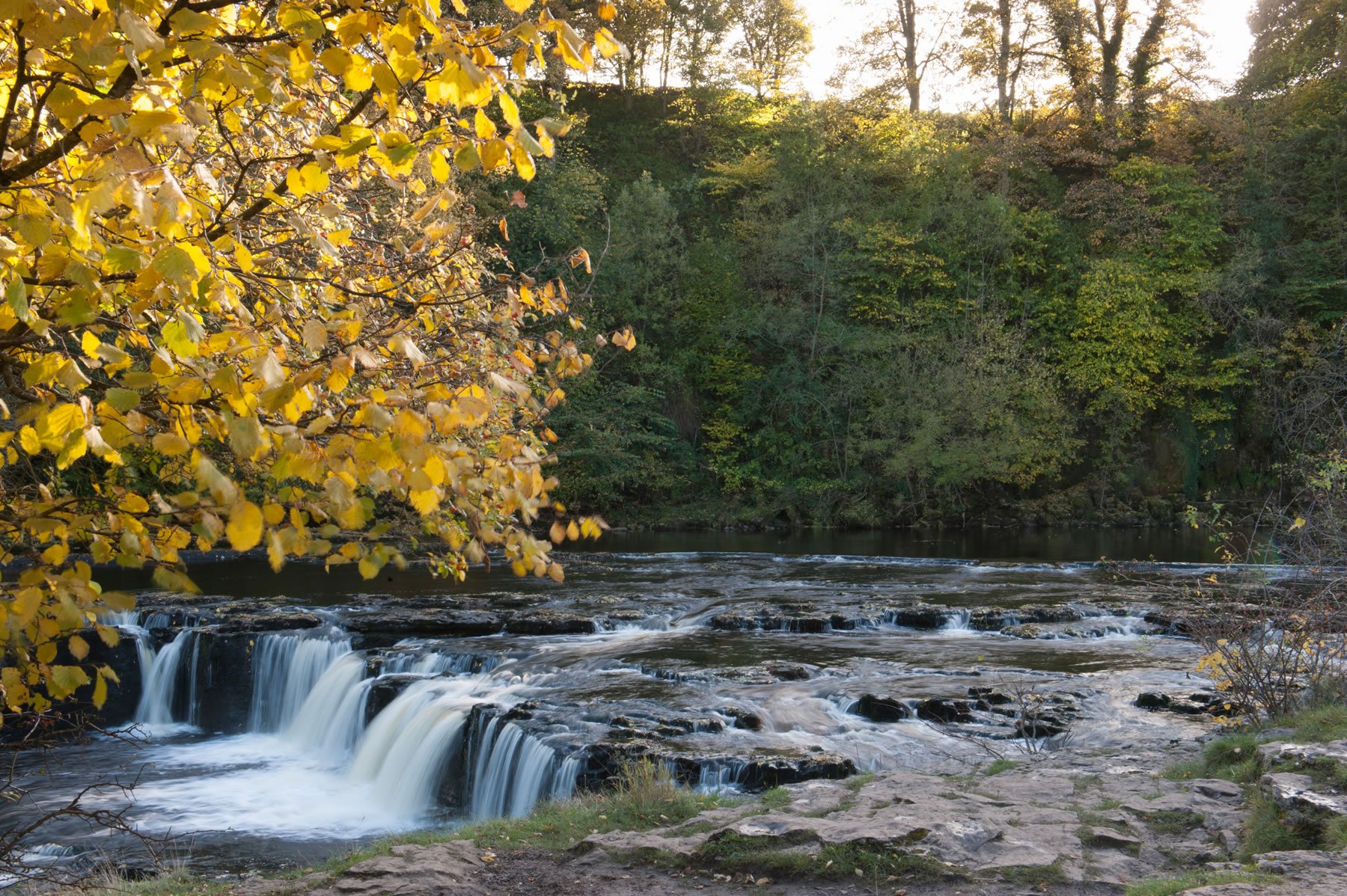 Image name Aysgarth Falls Tourist Information Centre 3 the 1 image from the post Aysgarth Falls Hotel & Restaurant in Yorkshire.com.