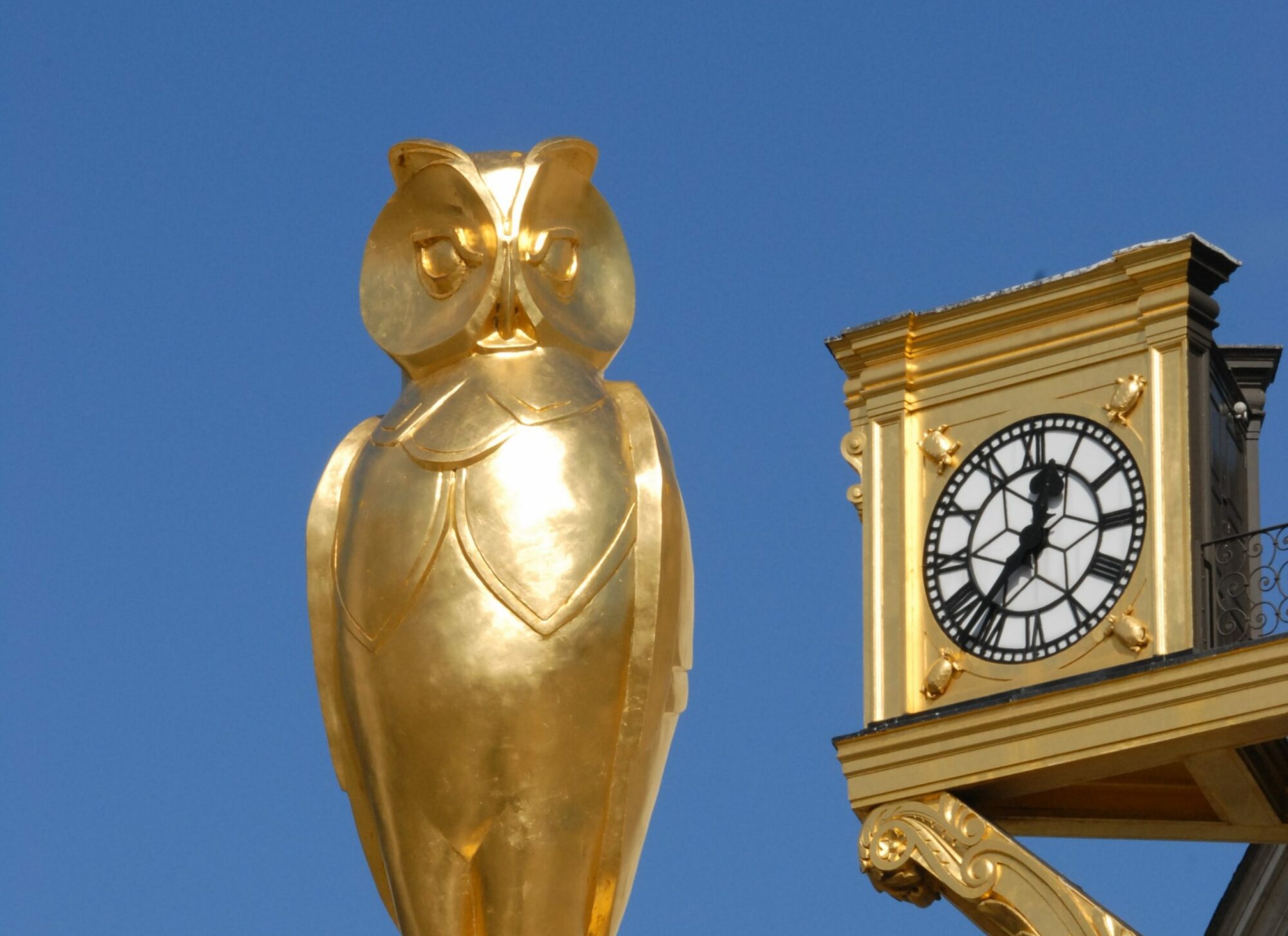Image name Golden Owl Leeds City Council Copy scaled 1 the 16 image from the post Leeds Owl Trail in Yorkshire.com.