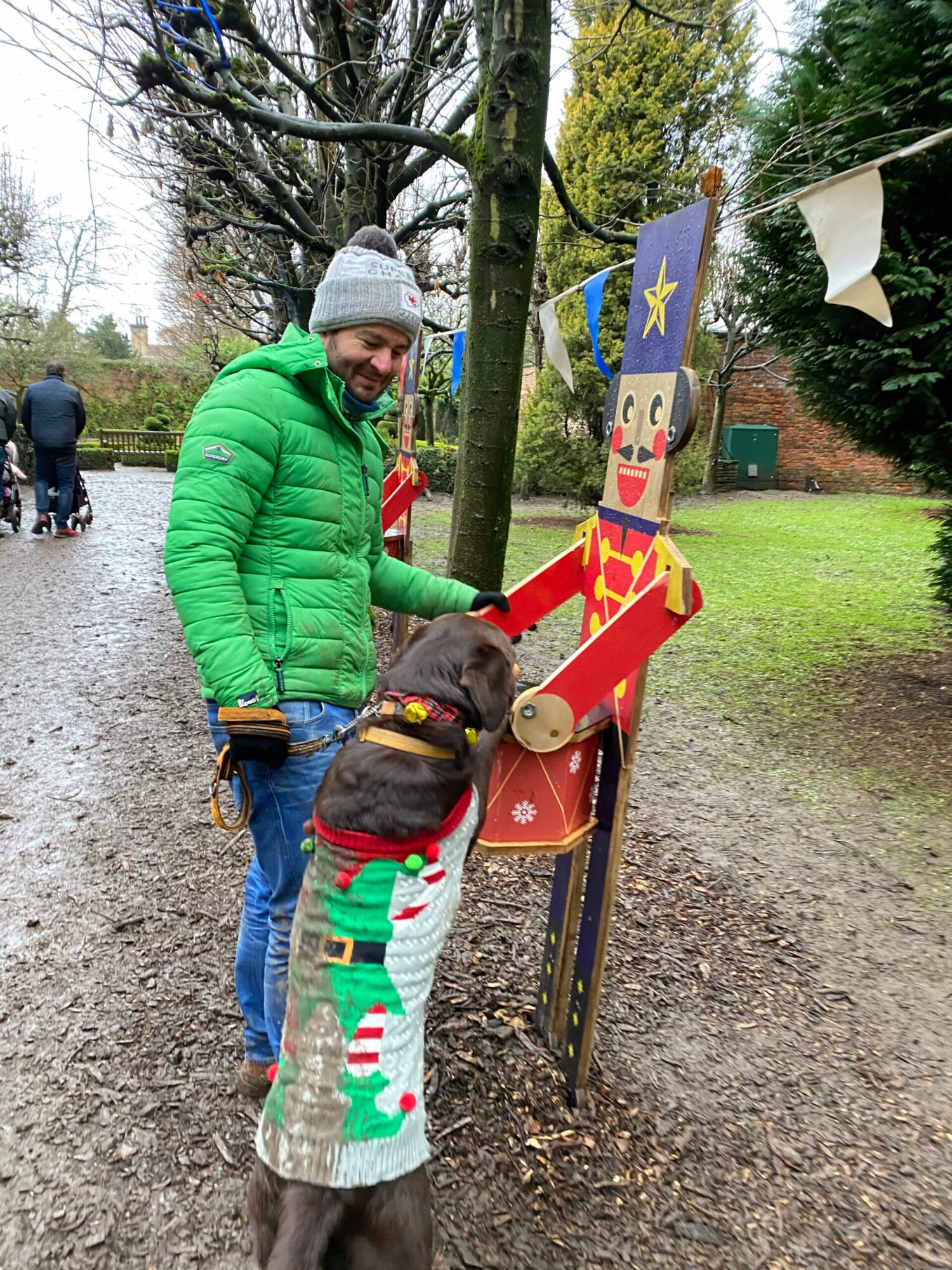 dog in christmas jumper