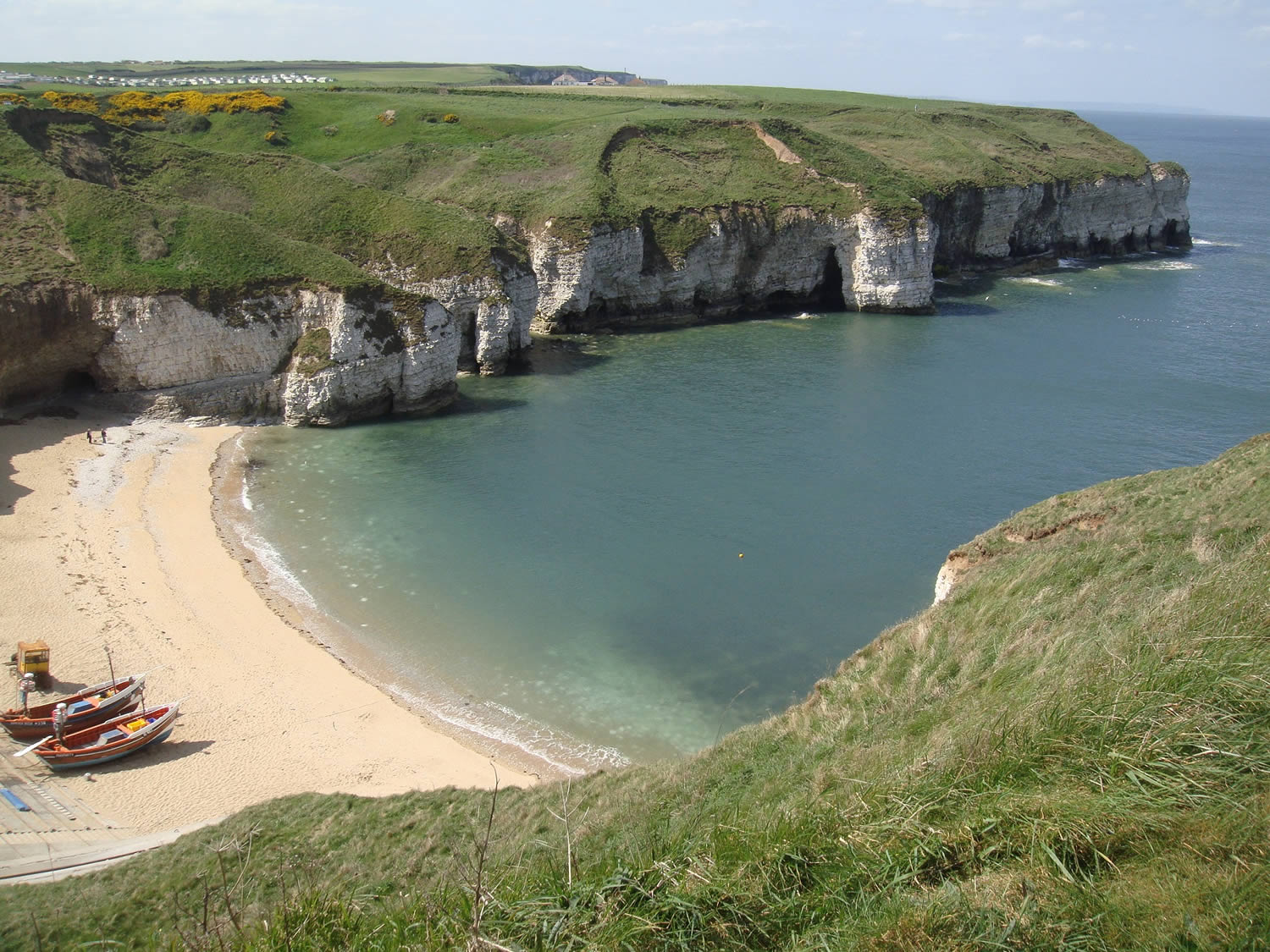 Image name YWT Flamborough Cliffs Nature Reserve 2 the 31 image from the post Newsletter - Friday 2nd June 2023 in Yorkshire.com.