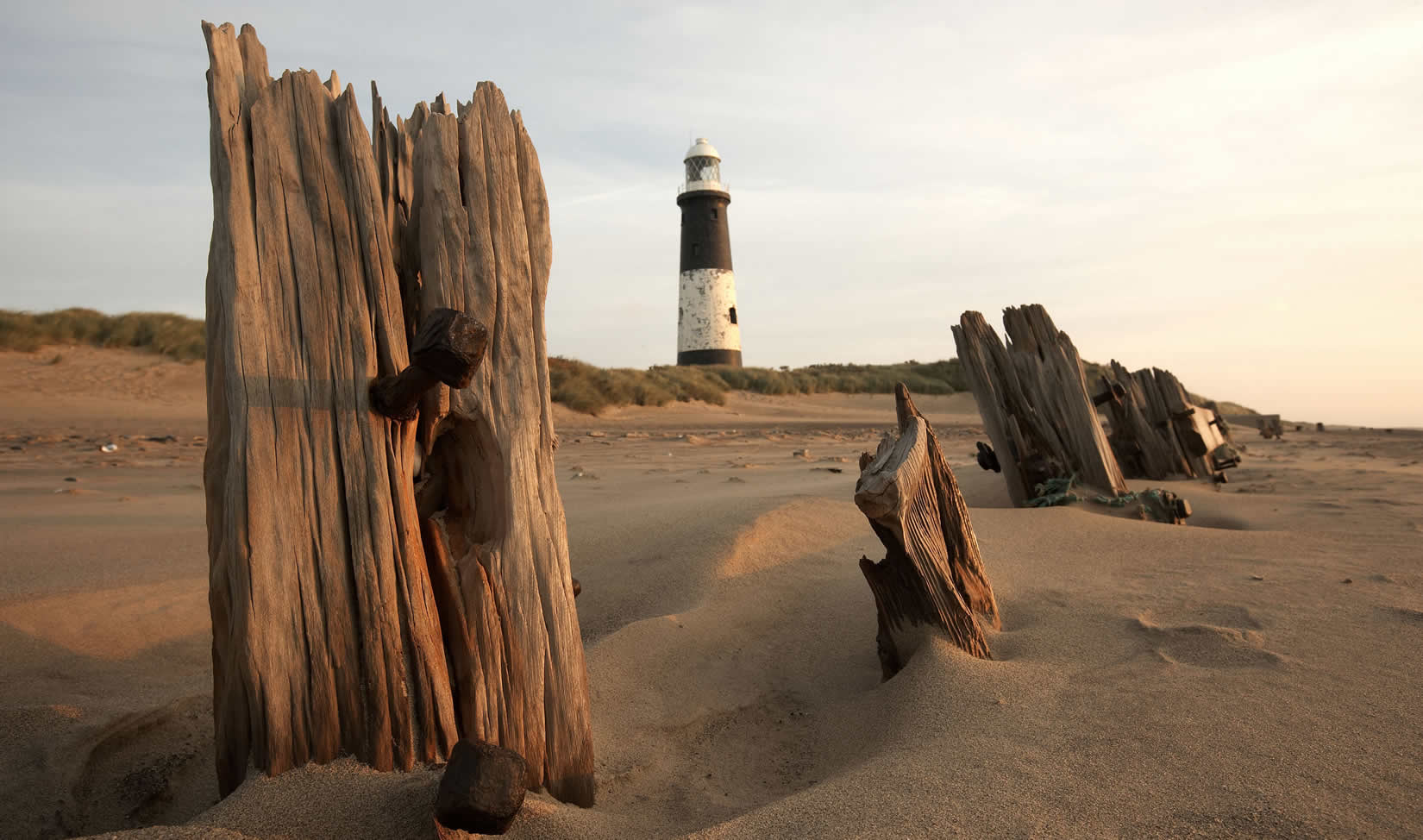 Image name YWT Spurn the 31 image from the post Visitor Attractions in Yorkshire.com.