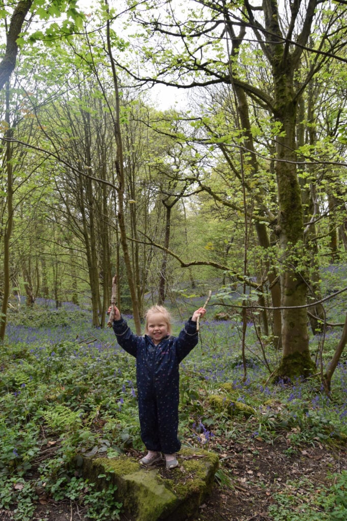 Image name bluebell woods the 4 image from the post The Bluebells of Ilkley's Middleton Woods in Yorkshire.com.