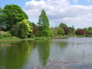 Image name burnby hall gardens pocklington the 7 image from the post East Yorkshire in Yorkshire.com.