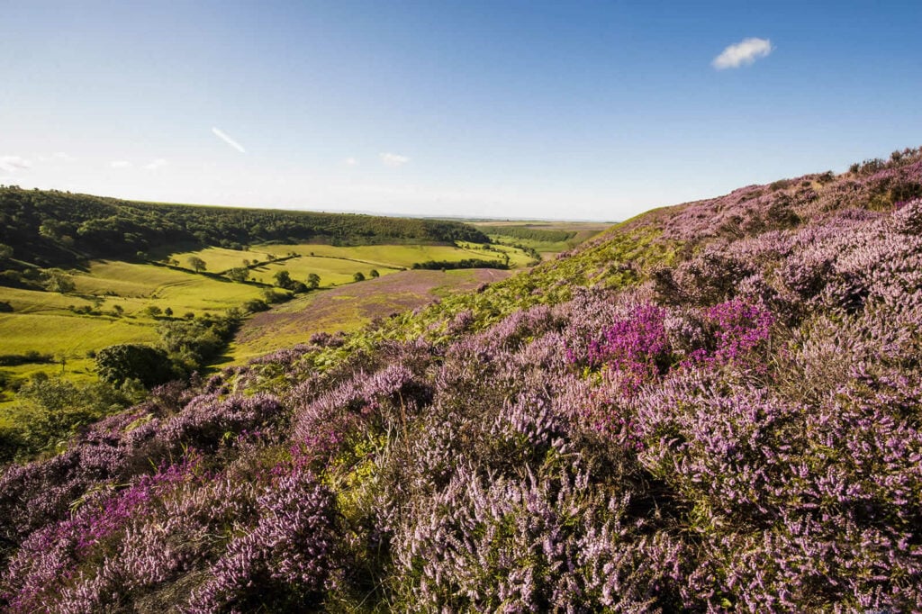 Weekly Newsletter - Friday 20 January 2023 Post image 6 Image name north york moors the 3 image from the post Weekly Newsletter - Friday 20 January 2023 in Yorkshire.com.