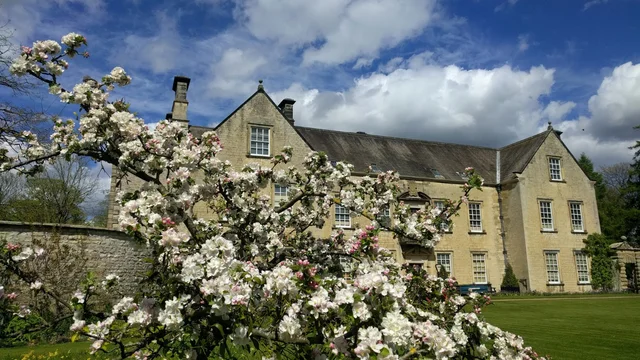 Image name nunnington hall blossom copyright national trust nick fraser the 2 image from the post Amazing National Trust Properties in Yorkshire: Where History Meets Natural Beauty in Yorkshire.com.