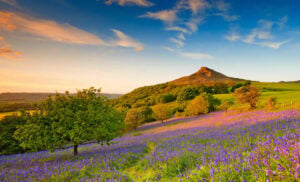 Image name roseberry topping the 3 image from the post North East Yorkshire in Yorkshire.com.