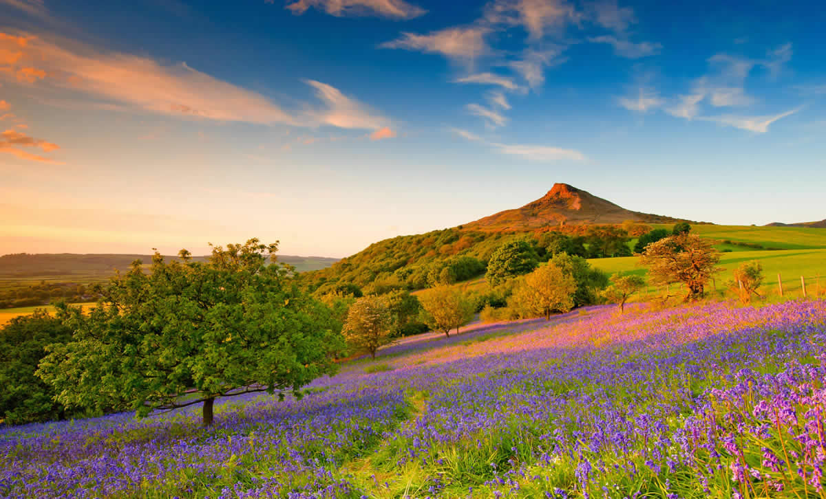 Image name roseberry topping the 31 image from the post Visitor Attractions in Yorkshire.com.