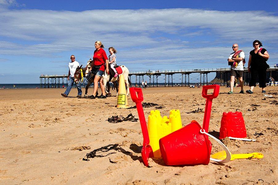 Image name saltburn donkeys 2 the 3 image from the post Saltburn in Yorkshire.com.