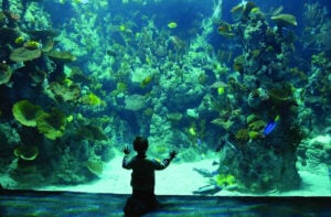 Places to visit in Yorkshire Page image 12 Image name the deep hull the 12 image from the post Places to visit in Yorkshire in Yorkshire.com.