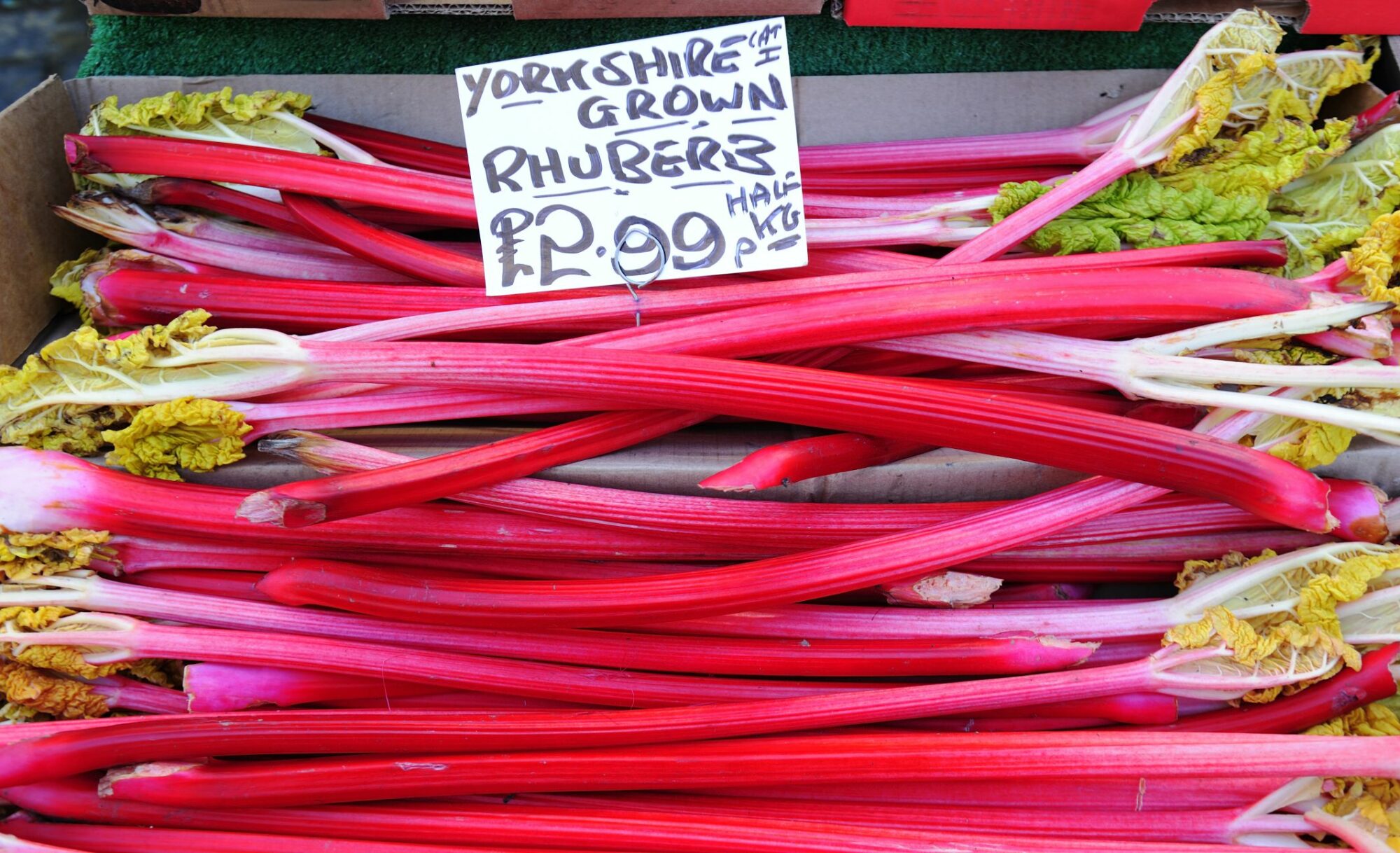 Image name yorkshire forced rhubarb the 3 image from the post Yorkshire Forced Rhubarb Crumble in Yorkshire.com.