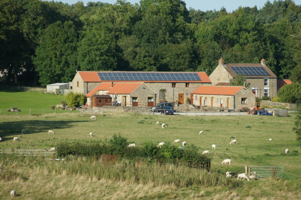 Picture of Rawcliffe House Farm