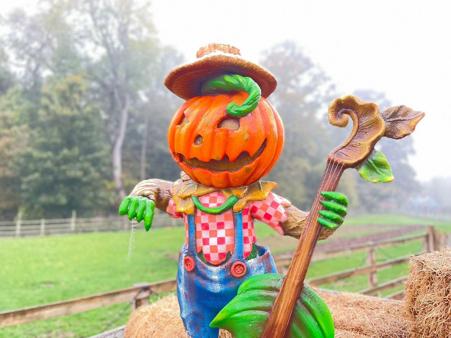 pumpkin character at stockeld park, yorkshire