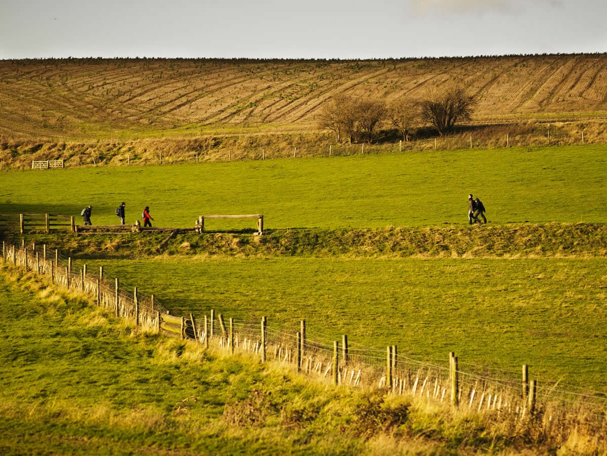 Market Weighton to Yorkshire