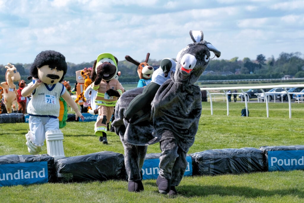 Image name Credit Mike Hurdiss 0585 the 3 image from the post The Mascot Gold Cup in Yorkshire.com.