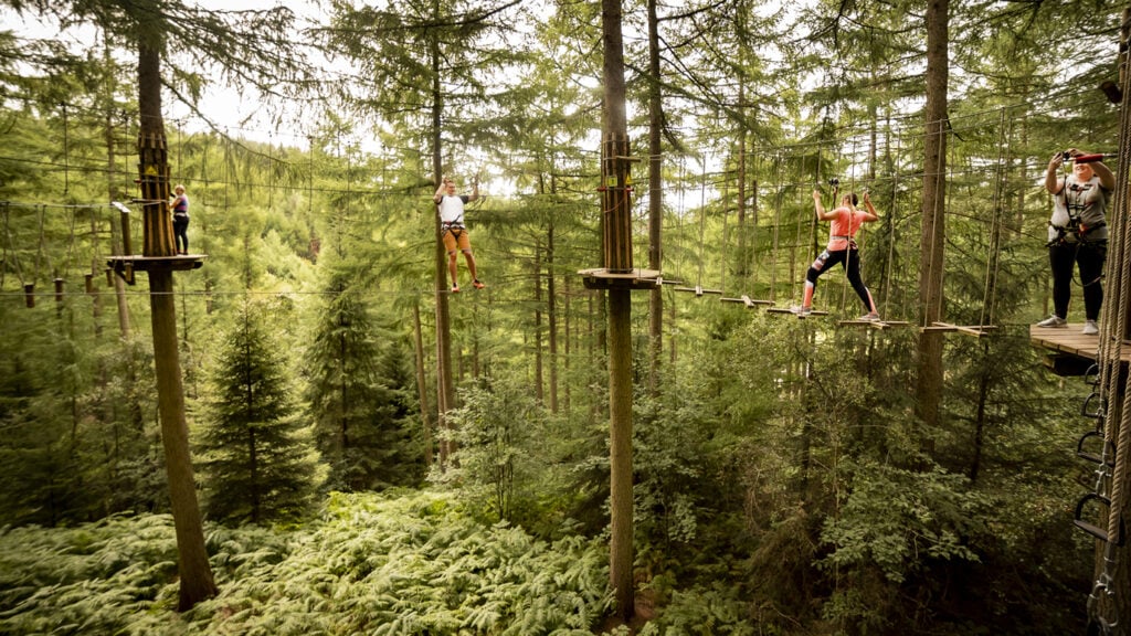 Go Ape! Dalby Forest