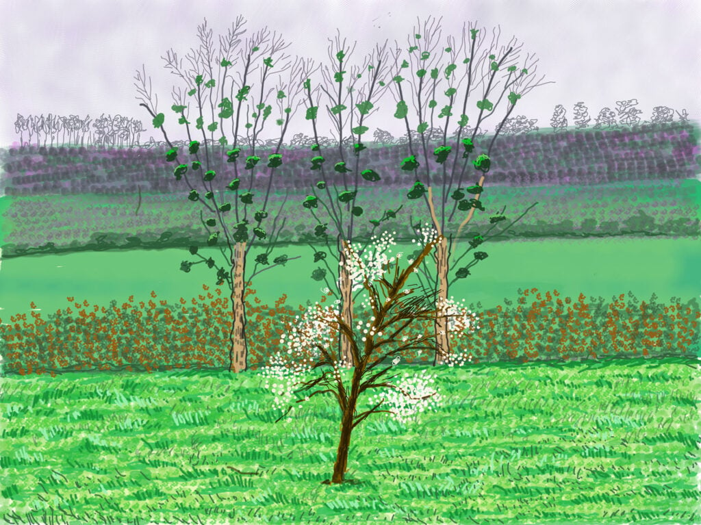 Image name number 132 23rd march 2020 ipad drawing david hockney the 4 image from the post Hockney in Spring in Yorkshire.com.