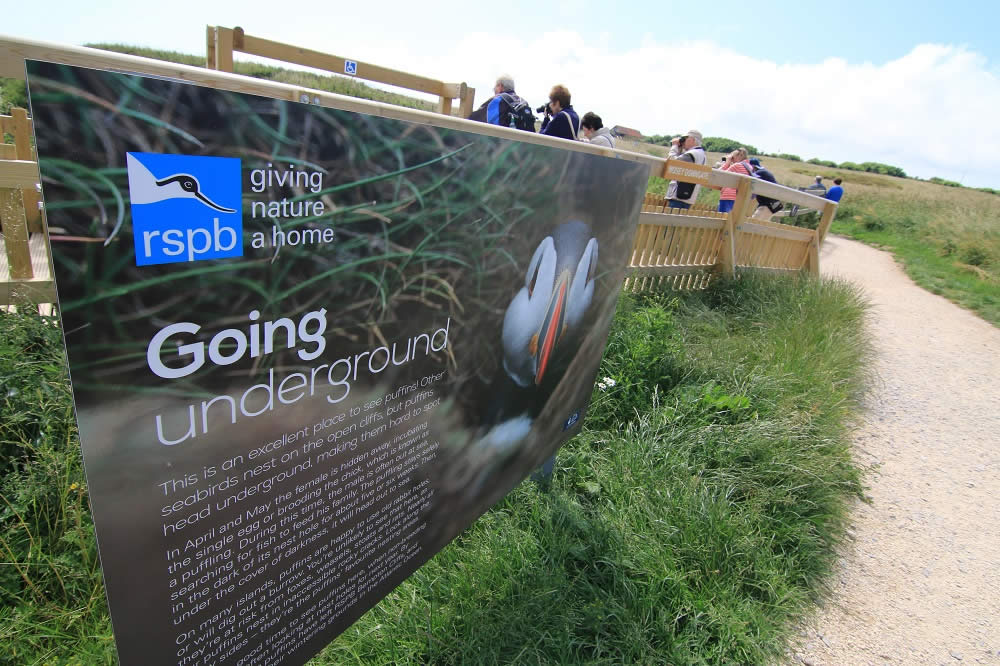 Image name signage at rspb bempton c tom marshall the 3 image from the post Yorkshire Nature Triangle in Yorkshire.com.