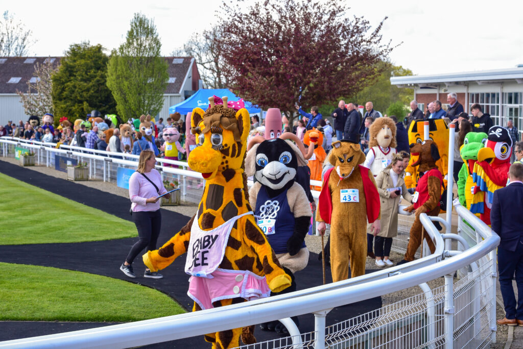 Image name 240422 Mascot Race 0129 the 9 image from the post Wetherby Racecourse in Yorkshire.com.