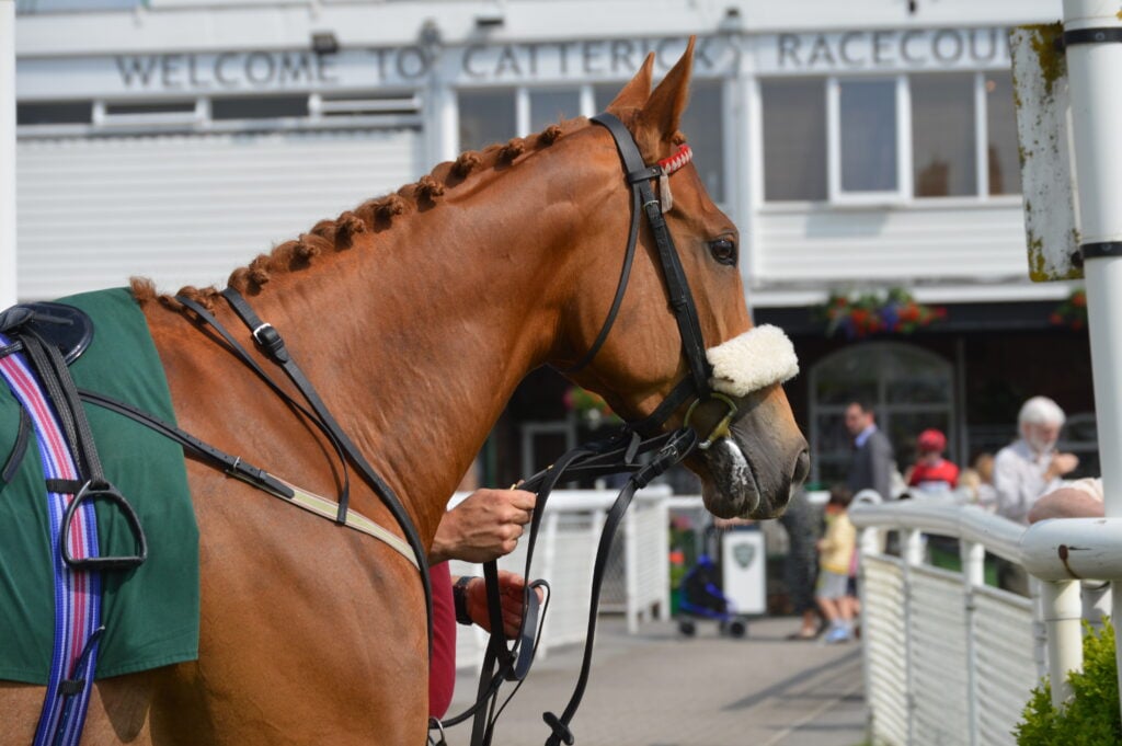 Image name Catterick DSC 0324 the 9 image from the post Catterick Racecourse in Yorkshire.com.