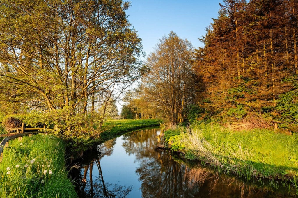 Pickering landscape