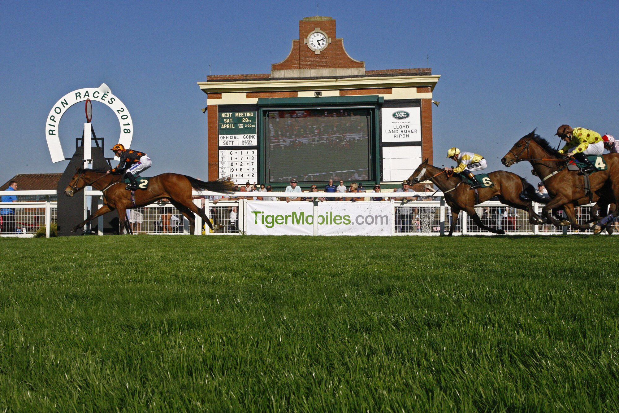 Image name go racing yorkshire horses on course ripon racecourse 2018 the 23 image from the post Ripon Flat Race at Ripon Racecourse on Saturday, August 19, 2023 in Yorkshire.com.