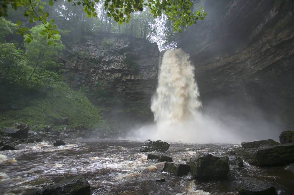 Hardraw Force