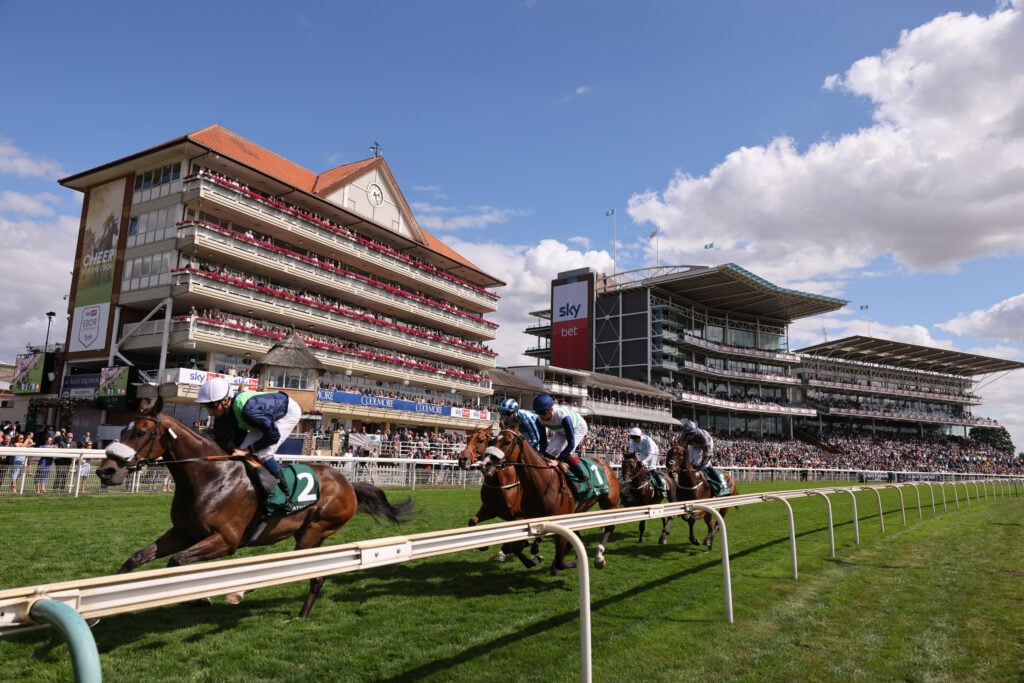 Image name yr19082022r2 27 the 7 image from the post York Racecourse in Yorkshire.com.