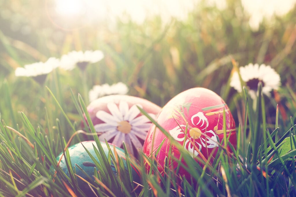 Easter eggs in grass