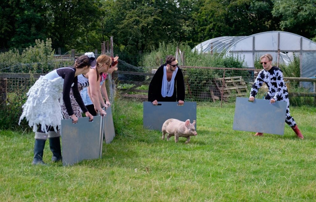 Image name SUMMER Hens Pigs 2 the 5 image from the post Farm Adventure in Yorkshire.com.