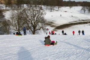 Image name sledging roundhay park the 10 image from the post York in Yorkshire.com.