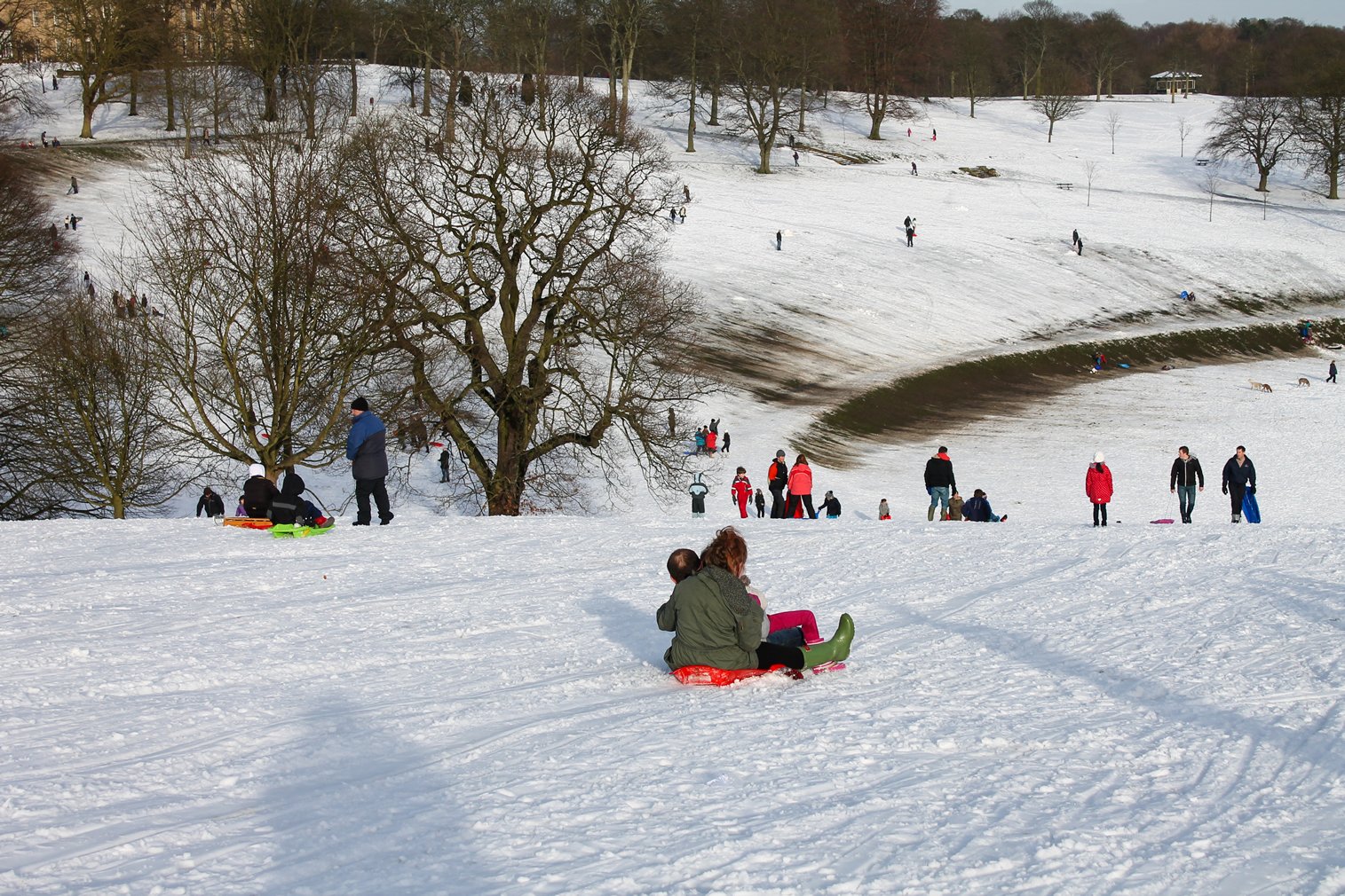 Image name sledging roundhay park the 6 image from the post Cold weather activities in Yorkshire in Yorkshire.com.