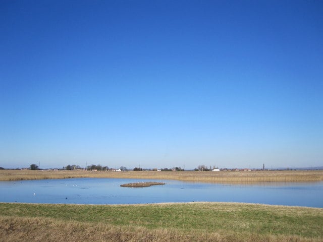 Image name blacktoft sands view from the xerox hide the 15 image from the post Yokefleet in Yorkshire.com.