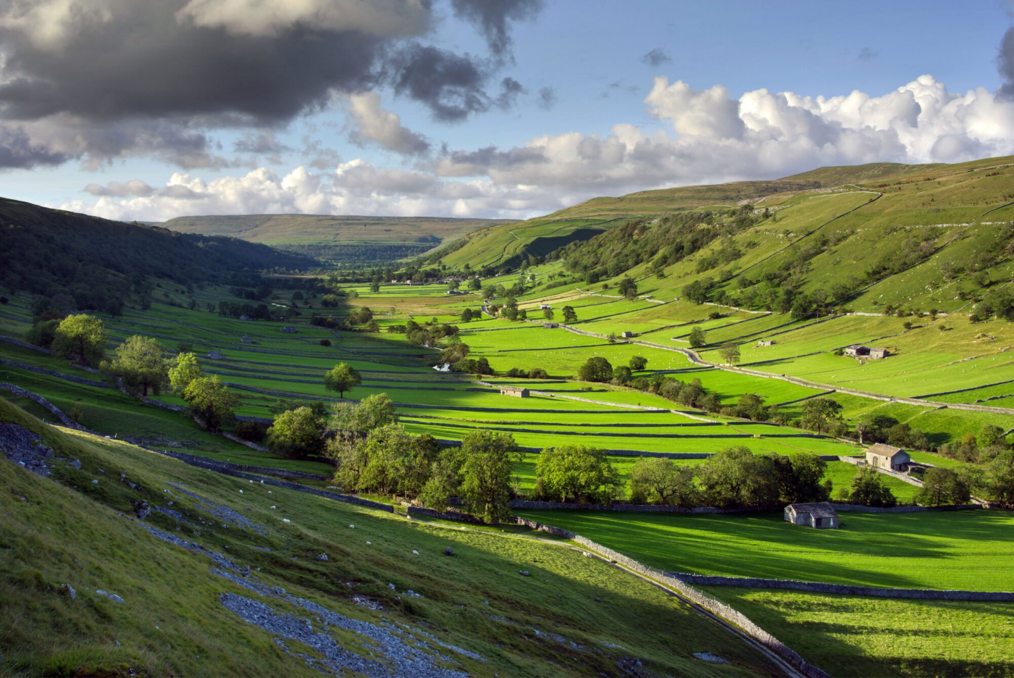 Walk: Wharfedale and Littondale