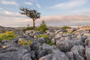 Image name limestone pavement conistone dib upper wharfedale yorkshire the 2 image from the post Kettlewell in Yorkshire.com.
