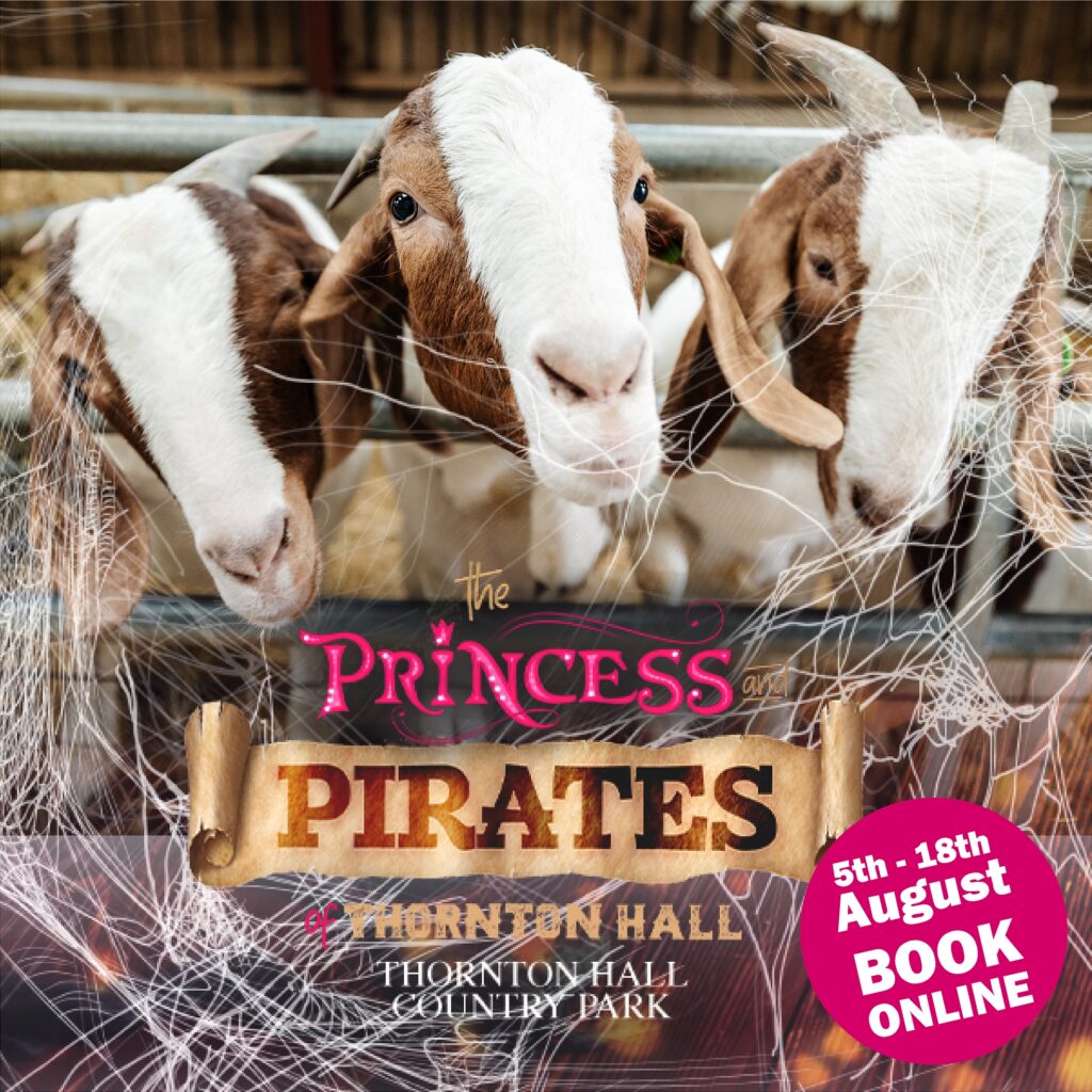 Image name goats pirates and princesses at thornton hall country park yorkshire the 1 image from the post Princesses and Pirates of Thornton Hall Country Park in Yorkshire.com.