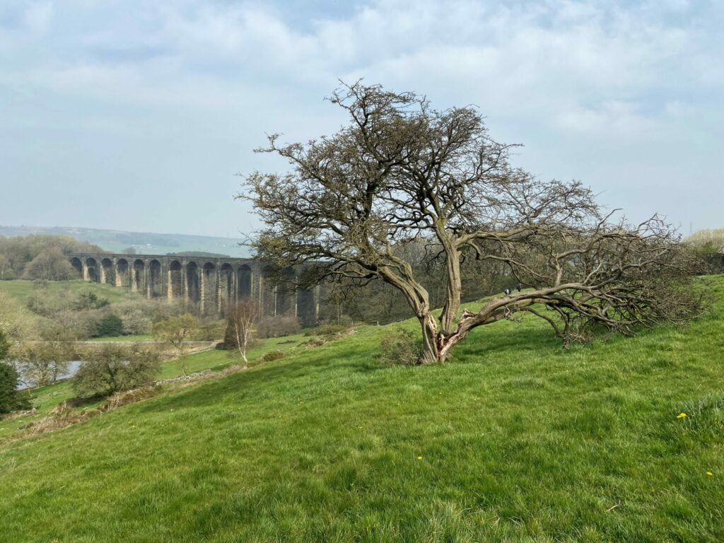 Image name hewenden viaduct the 1 image from the post Walk: Great Northern Railway Trail in Yorkshire.com.