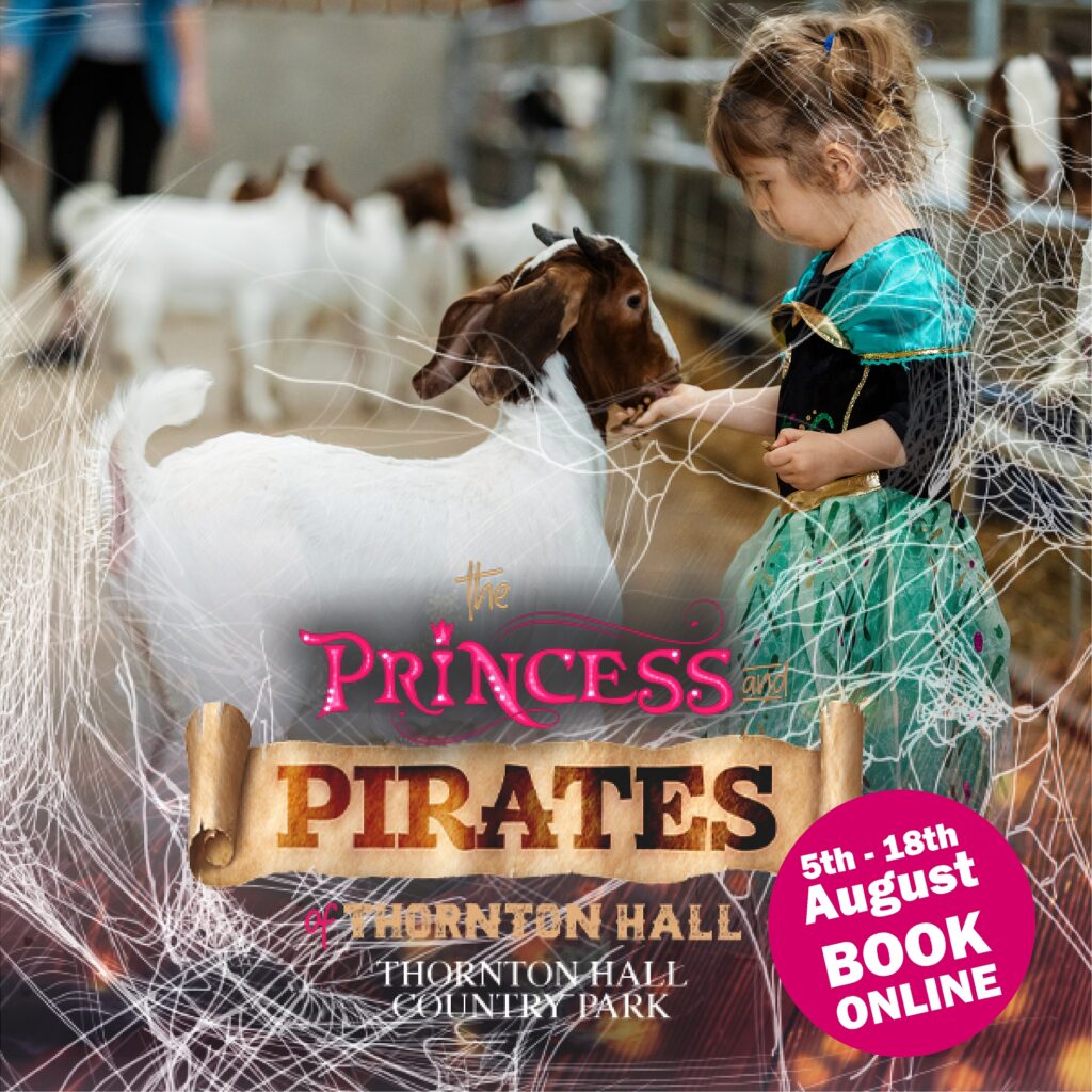 Image name pirates and princesses at thornton hall country park yorkshire feeding goats the 3 image from the post Princesses and Pirates of Thornton Hall Country Park in Yorkshire.com.