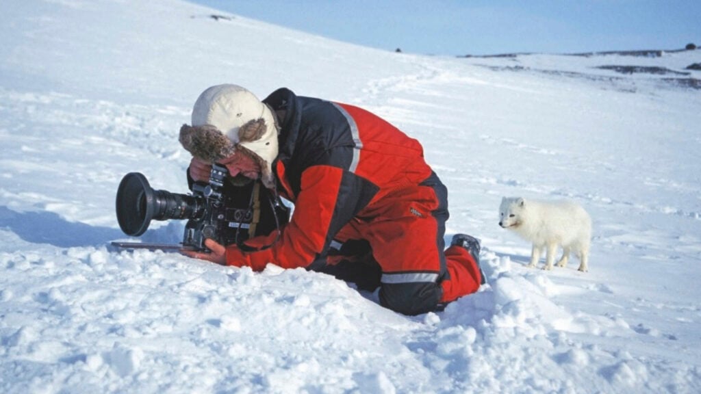 Image name Doug filming an Arctic fox the 15 image from the post Natural History Cameraman, Doug Allan, is coming to Ilkley in Yorkshire.com.