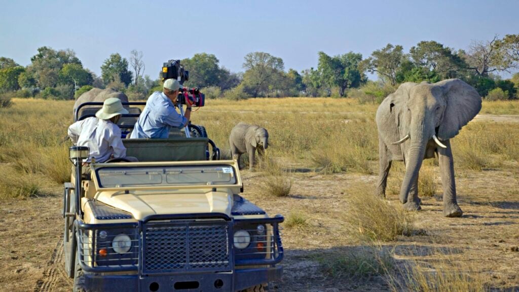 Image name Doug filming Elephants jpeg 1 the 18 image from the post Natural History Cameraman, Doug Allan, is coming to Ilkley in Yorkshire.com.