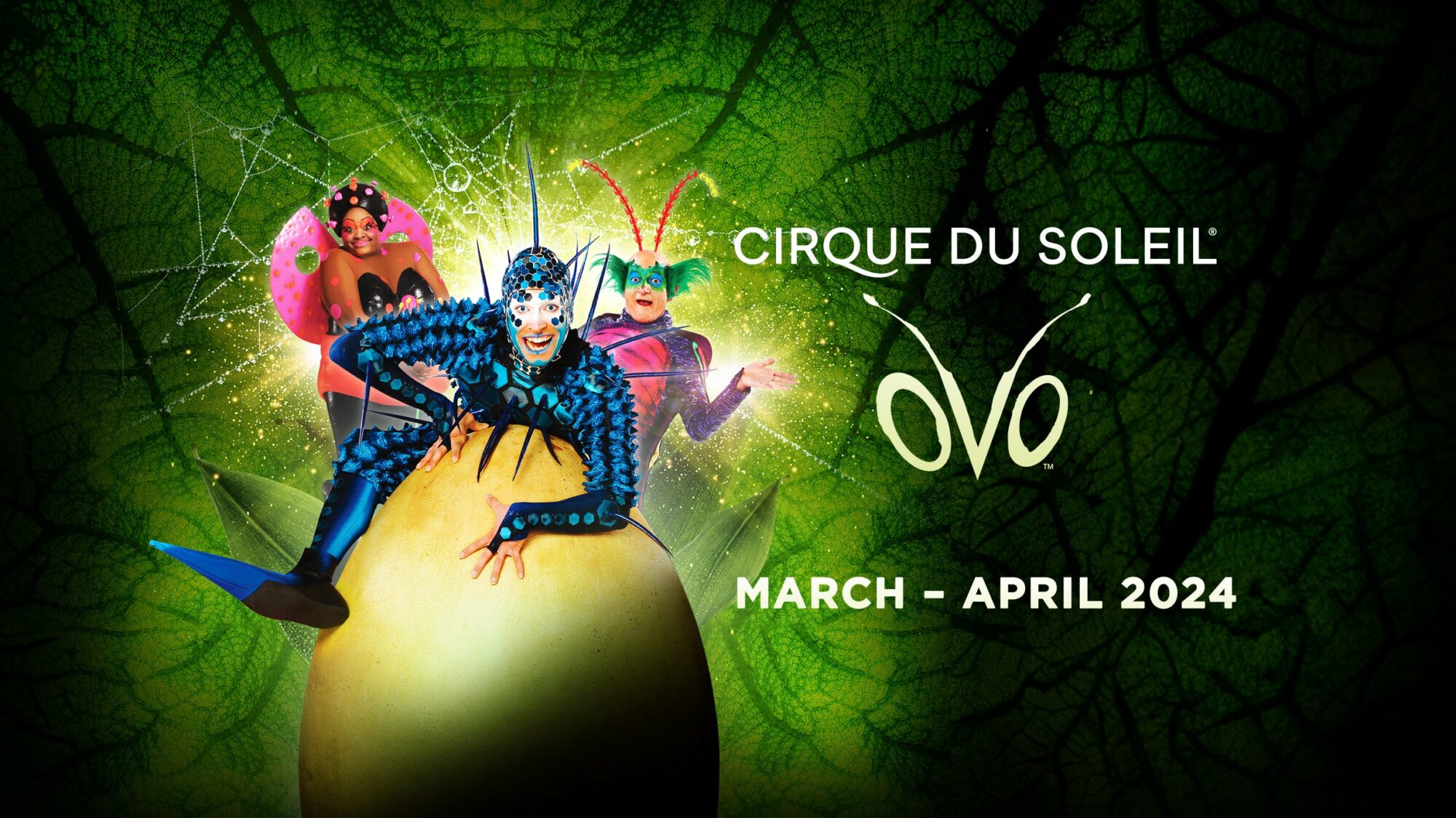 Image name Cirque Du Soleil Ovo at First Direct Arena Leeds the 2 image from the post Cirque Du Soleil : Ovo at First Direct Arena, Leeds in Yorkshire.com.