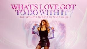 Image name Whats Love Got to do With it Tina Turner Tribute at Hull City Hall Hull the 2 image from the post Doncaster Dome in Yorkshire.com.
