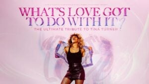 Image name Whats Love Got to do With it Tina Turner Tribute at Hull City Hall Hull the 3 image from the post Doncaster Dome in Yorkshire.com.