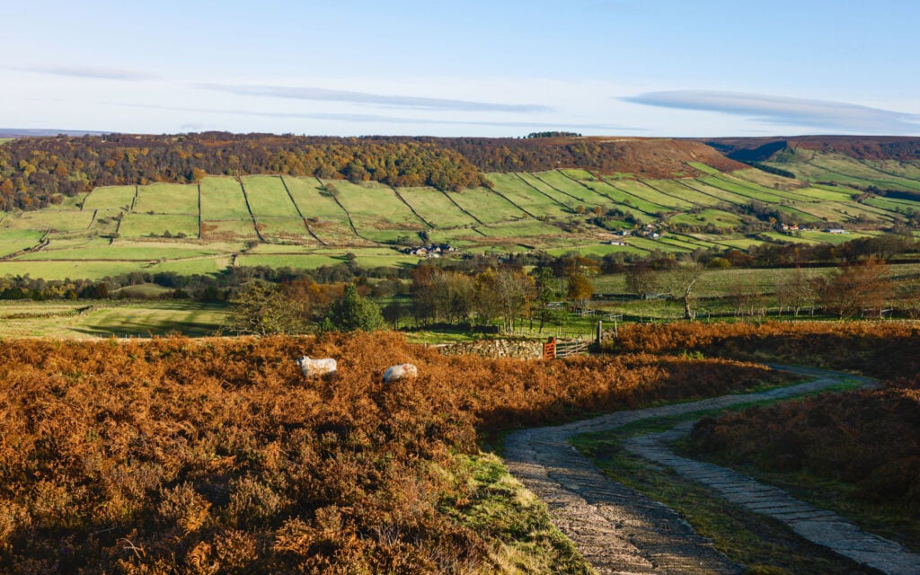 Best North York Moors Walks - Options & Information Post image 2 Fridaythorpe in the North York Moors