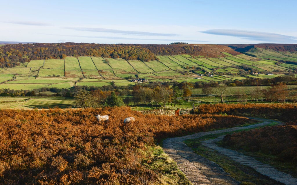 Fridaythorpe in the North York Moors