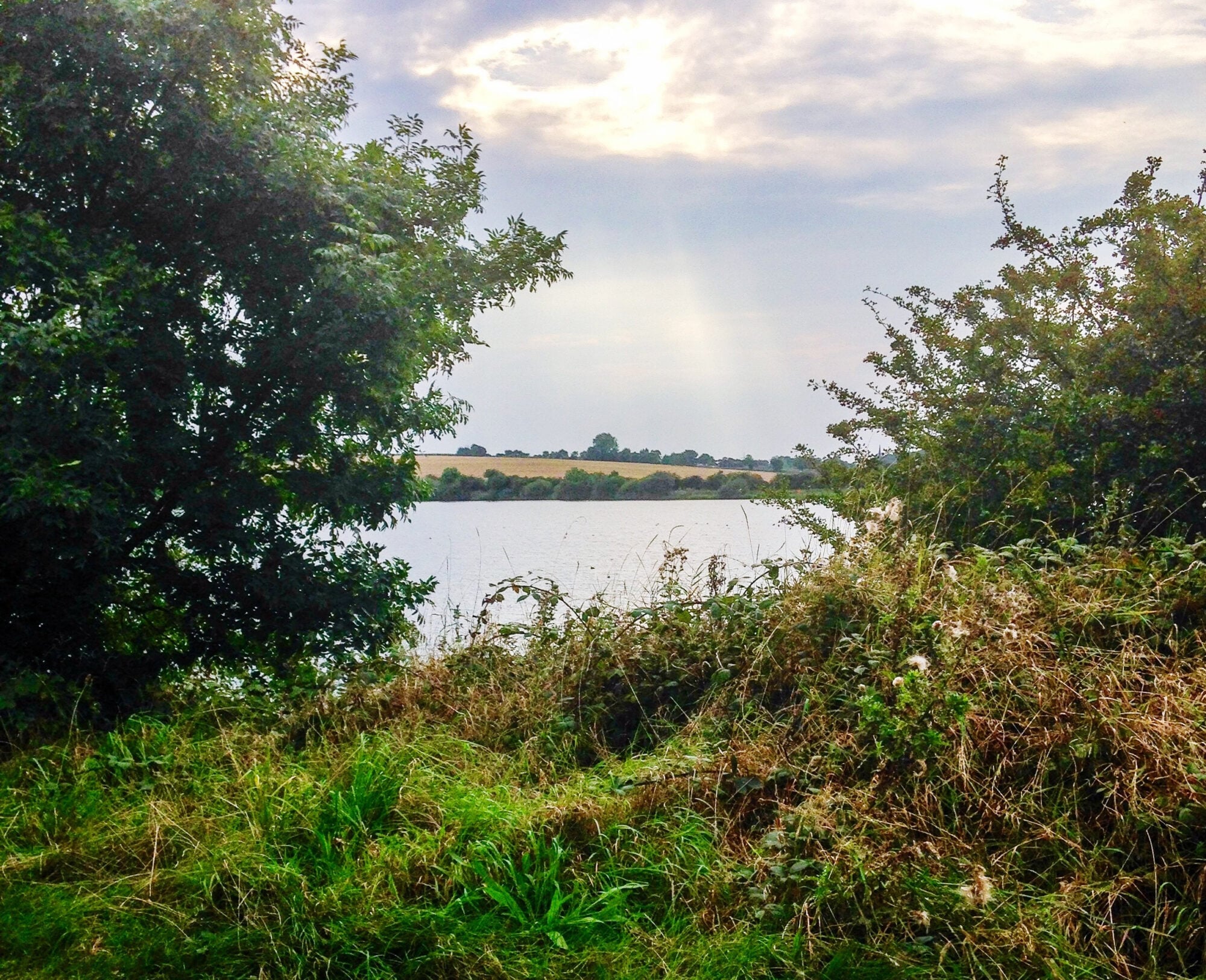 Kilnhurst to Yorkshire