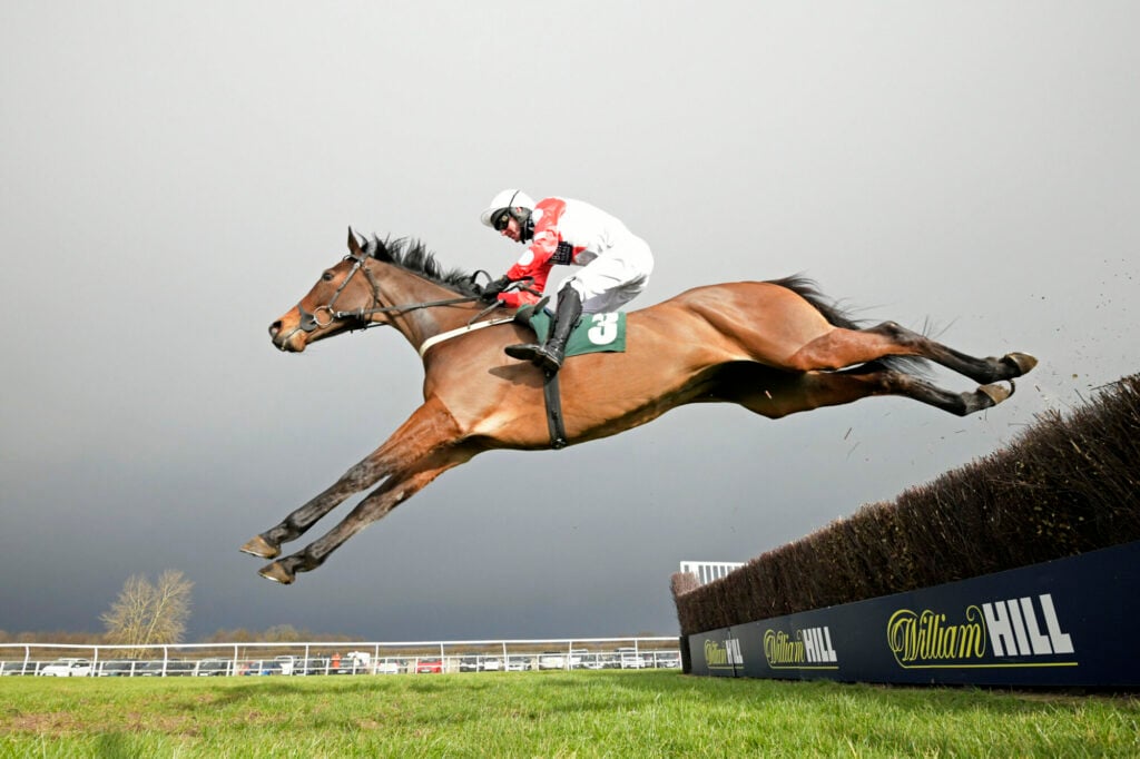 Image name Wheelbahri jumping horse catterick racecourse yorkshire the 6 image from the post Day 8 – Christmas 2023 in Yorkshire.com.